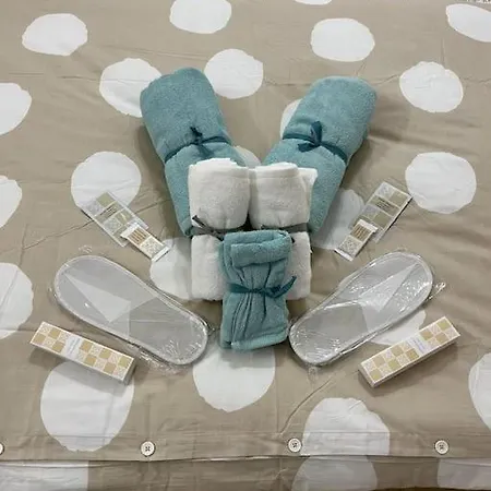 Maison Vivien, Nel Cuore Di Torino.